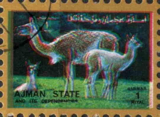 Llama