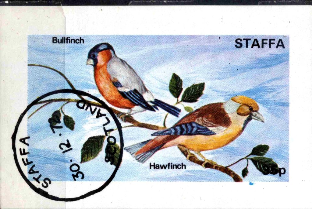 Bullfinch / Hawfinch