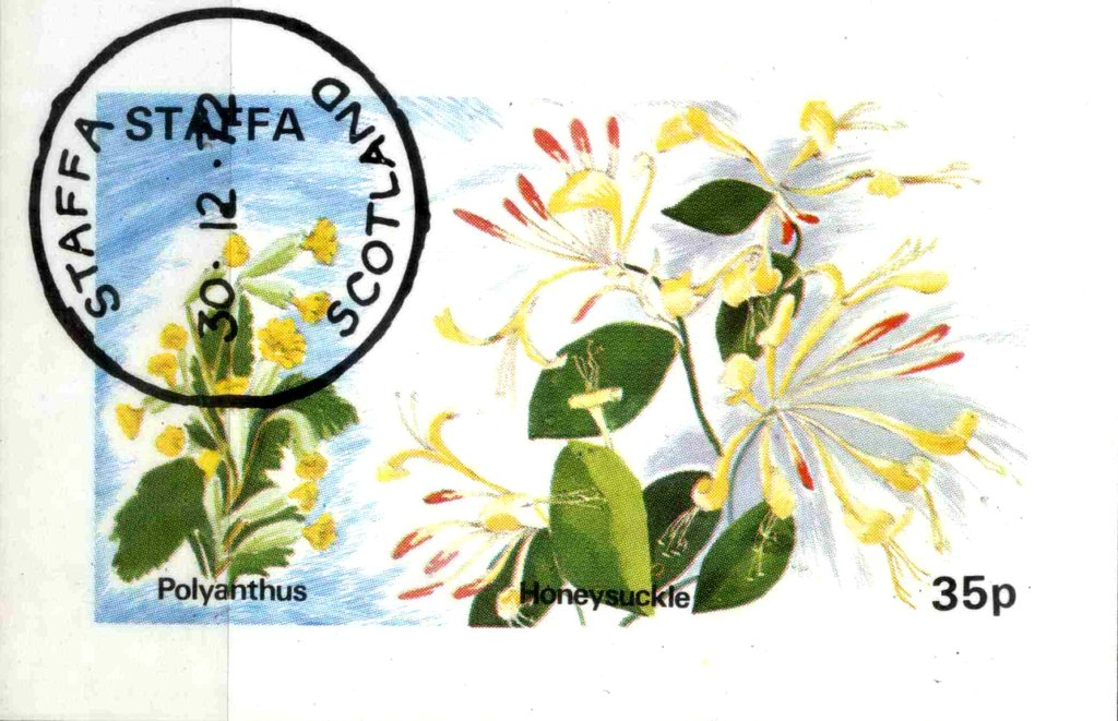 Polyanthus and Honeysuckle