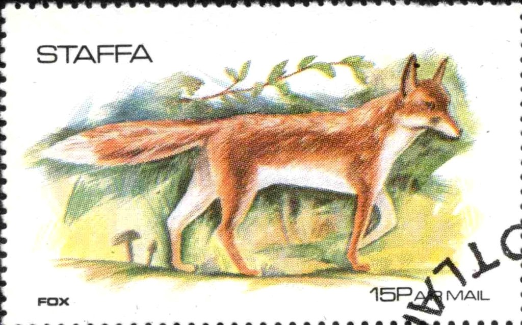 Fox