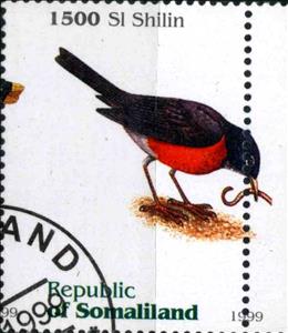 Stamp, Bird, Cinderellas,  , Birds