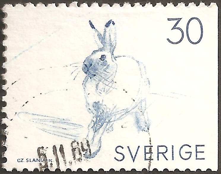 Arctic hare