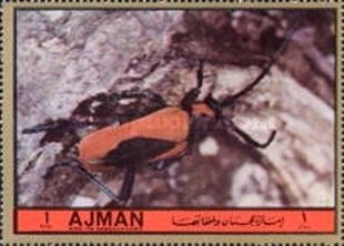 Stamp, Coleopter, Ajman,  , Animals (Fauna), Insects