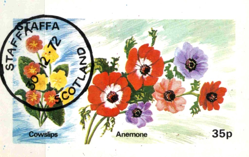 Cowslips and Anemone
