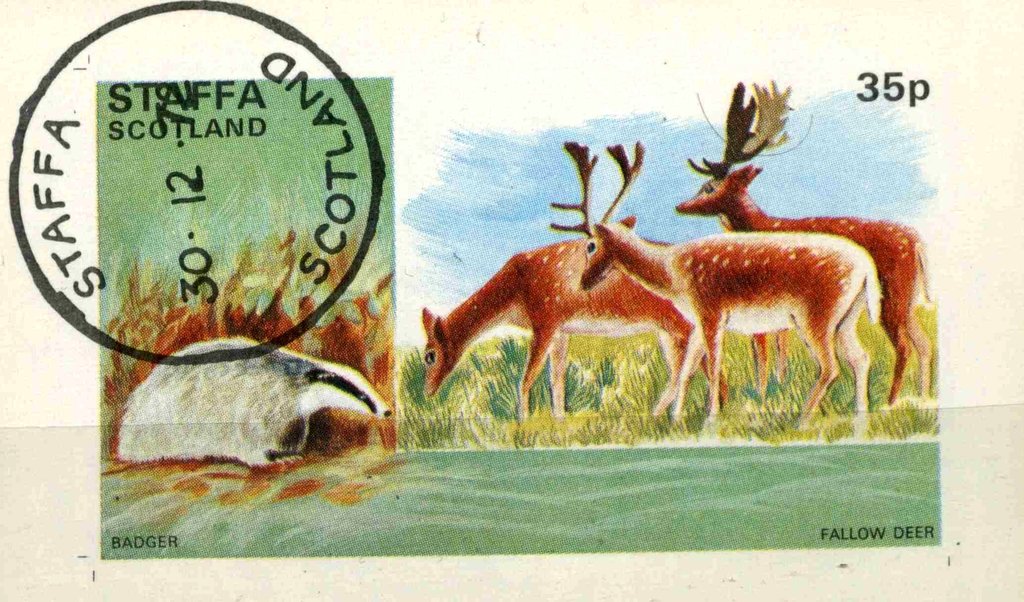 Badger and Fallow Deer
