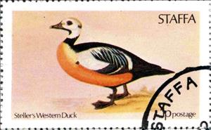 Stamp, Steller's Western Duck, Cinderellas,  , Birds