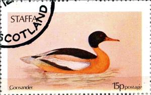 Stamp, Goosander, Cinderellas,  , Birds