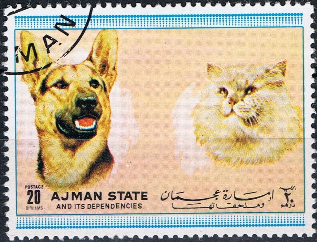 Dog and cat