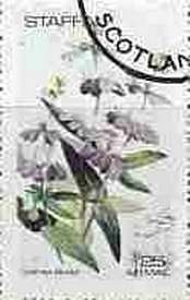Stamp, Flowers, Cinderellas,  , Flowers
