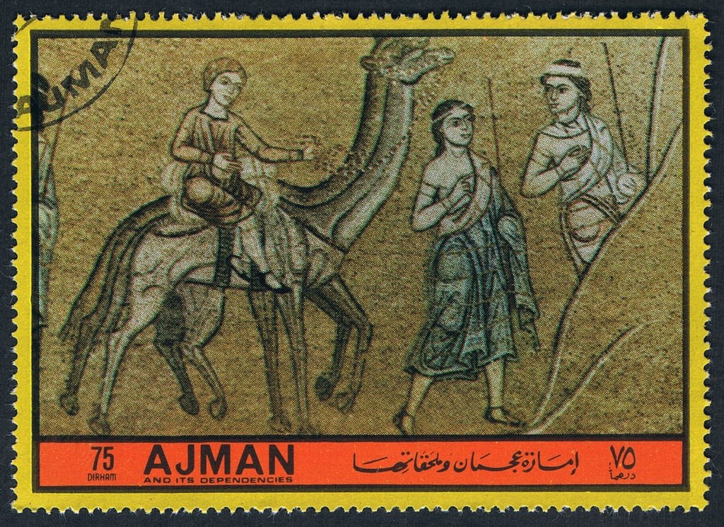 Camel Rider