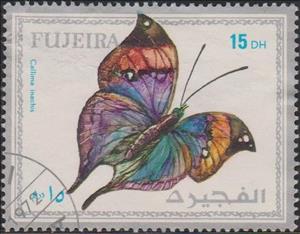 Stamp, Kallima inachus, Fujairah (Fujeira),  , Animals (Fauna), Butterflies