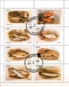 Mini Sheet, Fish, Cinderellas,  , Animals (Fauna), Fishes