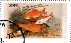 Stamp, Golden and Bronze Carp, Cinderellas,  , Animals (Fauna), Fishes
