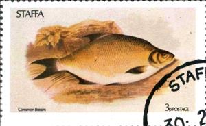 Stamp, Commom Bream, Cinderellas,  , Animals (Fauna), Fishes