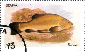 Stamp, Teach, Cinderellas,  , Animals (Fauna), Fishes