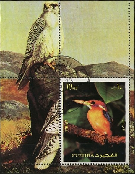 Kingfisher