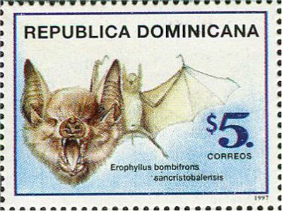 Bats