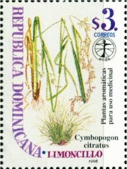 Medical plants
