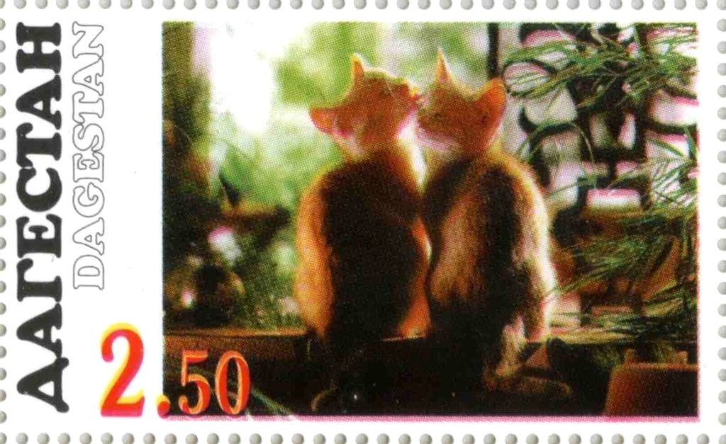 Cats
