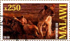 Stamp, Panthera leo, Cinderellas,  
