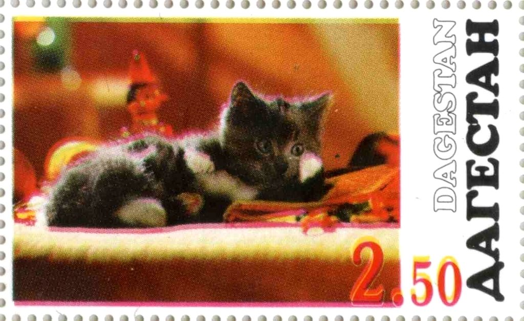 Cats