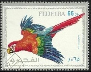 Green-winged Macaw (Ara chloropterus)