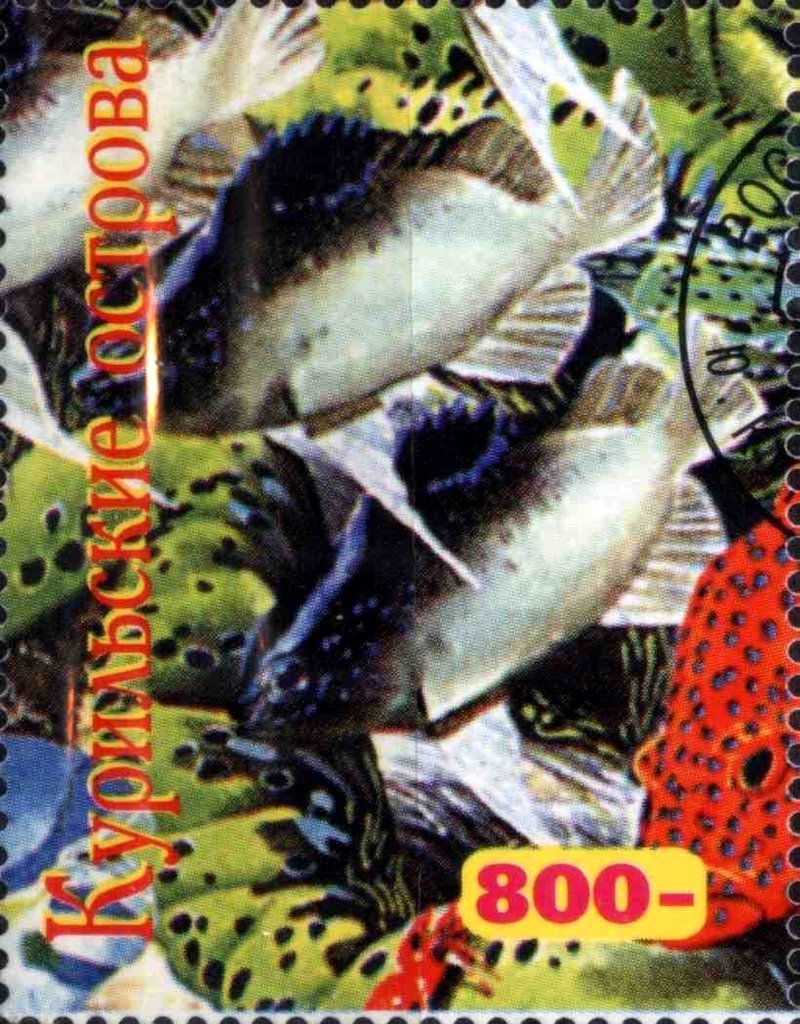 Fauna Marine