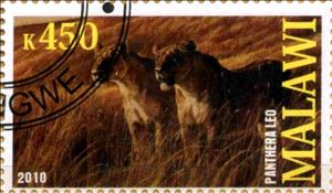 Stamp, Panthera leo, Cinderellas,  