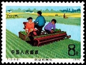 Growing of rice