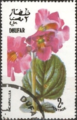 Stamp, Flowers, Cinderellas,  , Flowers