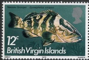 Stamp, Nassau Grouper (Epinephelus striatus), British Virgin Islands,  , Fishes