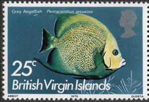 Stamp, Grey Angelfish (Pomocanthus arcuatus), British Virgin Islands,  , Fishes