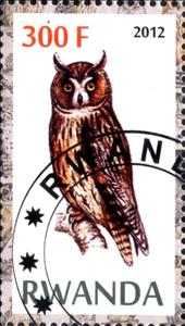 Stamp, Owls, Cinderellas,  , Birds, Owls