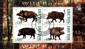 Mini Sheet, Wild Boars, Cinderellas,  