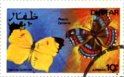 Butterflies