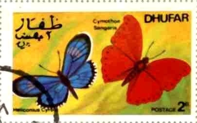 Butterflies
