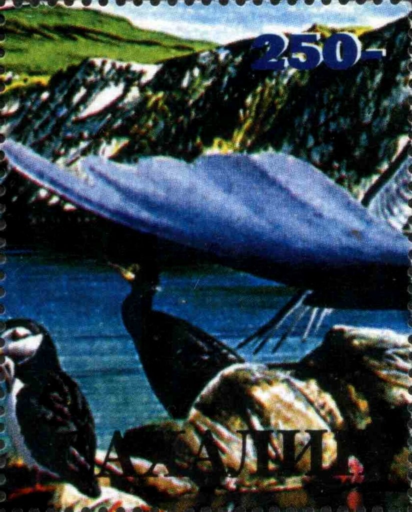 Fauna Marine