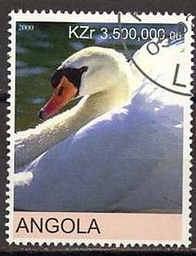 Swans