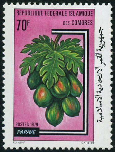 Papaye