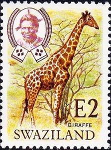Stamp, Giraffe (Giraffa camelopardalis), Swaziland,  , Giraffes