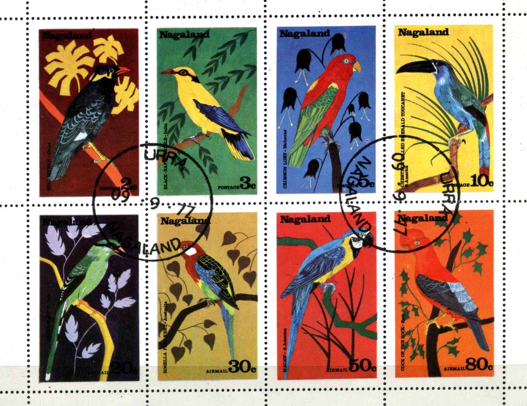 Birds