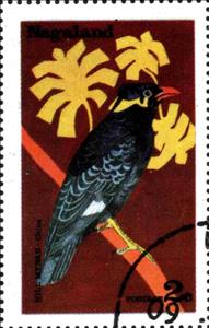 Stamp, Hill minah, Cinderellas,  , Birds