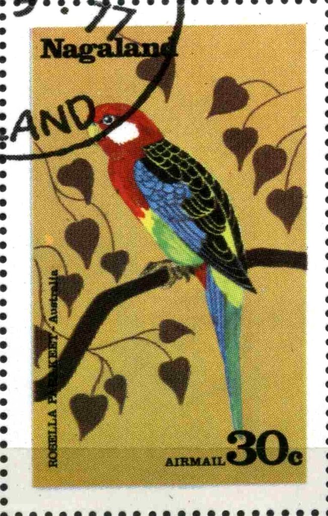 Rosella