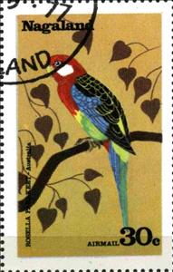 Stamp, Rosella, Cinderellas,  , Birds