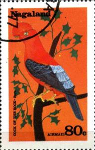 Stamp, Cock of the rock, Cinderellas,  , Birds
