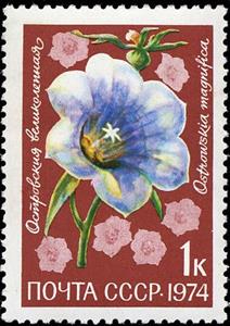 Stamp, Ostrowskia magnifica, Soviet Union, USSR,  , Flowers, Plants (Flora)
