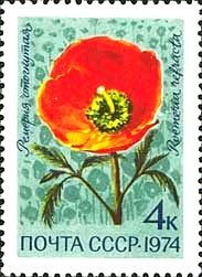 Stamp, Roemeria refracta, Soviet Union, USSR,  , Flowers, Plants (Flora)