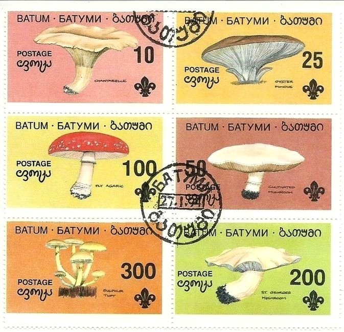 Mushrooms