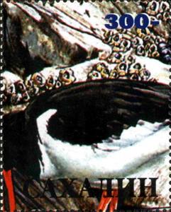 Stamp, Fauna Marine, Cinderellas,  