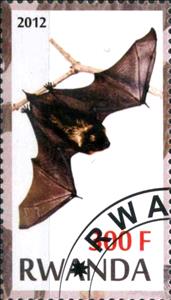Stamp, Bats, Cinderellas,  , Bats